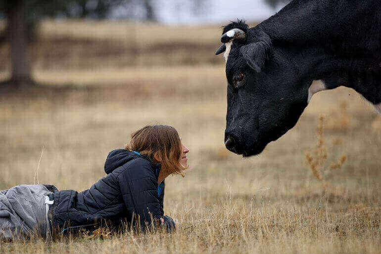 Show animal compassion with vegetarian diet