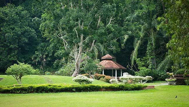 Penang Botanic Garden landscape view park Parks and Nature Attractions in Penang botanic garden 4